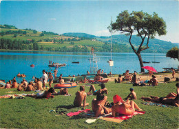 38 - LAC DE PALADRU - Paladru