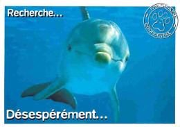 Animaux - Dauphins - CPM - Voir Scans Recto-Verso - Delfines