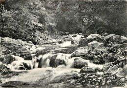 43 - YSSINGEAUX - LES GORGES DU RAMEL - Yssingeaux