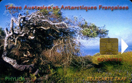 TAAF N° 29 - Télécarte 50u - Le Phylicia - TAAF - Territorios Australes Franceses