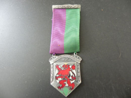 Shooting Medal - Medaille Schweiz Suisse Switzerland - Murten Schiessen 1982 - Other & Unclassified