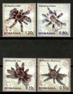Romania 2010 Rumanía / Insects Spiders MNH Insectos Arañas Spinnen / Cu14419  23-27 - Arañas
