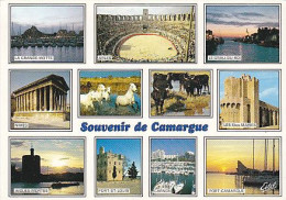 AK 209811 FRANCE - Camargue - Provence-Alpes-Côte D'Azur