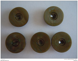 5 Vintage Groen-grijs Knopen Plastic  Boutons Vert-gris 2,20 Cm - Buttons