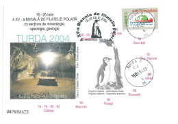 COV 98 - 3064 Cave & POLAR FAUNA ( Aptenodytes Fosteri ) Romania - Cover - Used - 2004 - Otros & Sin Clasificación