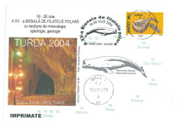 COV 98 - 3063 Cave & POLAR FAUNA ( Delphinopterus Leucas ) Romania - Cover - Used - 2004 - Otros & Sin Clasificación