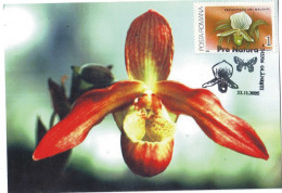 MAX 50 - 53 ORCHID, Romania - Maximum Card - 2005 - Orchideeën