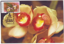 MAX 50 - 48 ORCHID, Romania - Maximum Card - 2005 - Orchidées