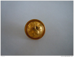 Belgie Belgique Knoop Bouton Leeuw Lion Couleur D'oré  Goudkleur 1,7 Cm - Buttons