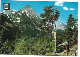 VALL D'ESPOT.- PAISATJE DE SANT MAURICI, PARC NACIONAL / SANT MAURICI LANDSCAPE, NATIONAL PARC.-  LLEIDA.- ( CATALUNYA) - Lérida