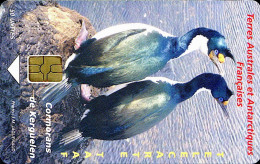 TAAF N° 38 - Télécarte 50u - Cormorans De Kerguelen - TAAF - French Southern And Antarctic Lands