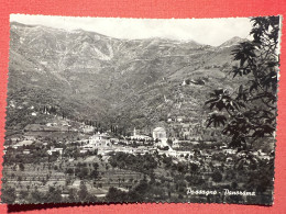 Cartolina - Possagno ( Treviso ) - Panorama - 1965 - Treviso