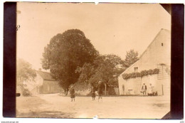 CARTE PHOTO A IDENTIFIER - Enfant Sur Echasse Et Couple Devant Treille De Vigne - Photos