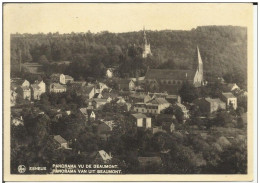 BELGIQUE .  ESNEUX . PANORAMA VU DE BEAUMONT - Esneux