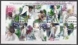 Nederland NVPH 2456-65 Vel Decemberzegels Goede Doelen 2006 Used Gestempeld Groningen - Used Stamps