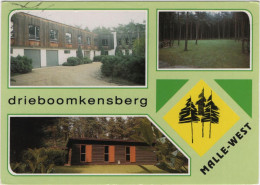 Malle-West - Drieboomkensberg - Malle