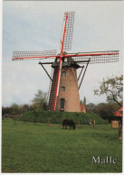 Westmalle Scherpenbergmolen - & Windmill - Malle