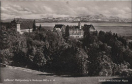 58264 - Heiligenberg - Schloss Mit Schweizer Alpen - Ca. 1960 - Friedrichshafen