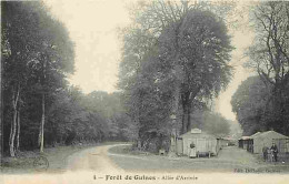 62 - Guines - Foret De Guines - Allée D'Arrivée - Animée - Carte Vierge - CPA - Voir Scans Recto-Verso - Guines