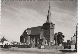 Bertogne - L'Eglise Et La Place - Bastogne