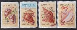 Coquillages Shells // Série Complète Neuve ** MNH ; Jamaîque YT 661/664 (1987) Cote 5.50 € - Muscheln