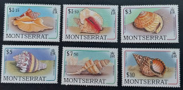 Coquillages Shells // Série Complète Neuve ** MNH ; Montserrat YT 676/291 (1988) Cote 46 € - Conchas