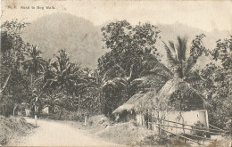 JAMAICA - ROAD TO THE BOG WALK - PUB. DUPERLY N° 4 - 1908 - Jamaica