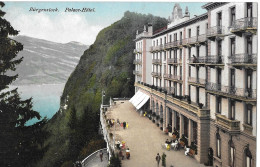 BÜRGENSTOCK ► Palace-Hotel Mit Touristen, Ca.1910 - Autres & Non Classés