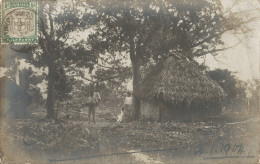 JAMAICA - PHOTOCARD - JAMAICAN HOMESTEAD WITH INHABITANTS - 1904 - América