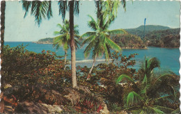 JAMAICA - SAN SAN BAY  - PUB. NOVELTY TRADING CO. - 1970 - Giamaica
