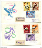 Somalia AFIS FDC Venetia 1959 Fauna  Viaggiata Racc. Per L'Italia - Somalia (AFIS)