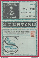 1921 REGNO, BLP N. 2 Su BUSTA SPECIALE NUOVA, COMPLETA - Zegels Voor Reclameomslagen (BLP)