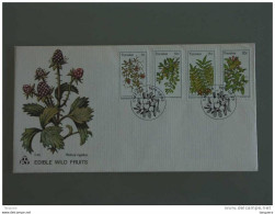 Transkei 1978 FDC Wild Eetbaar Fruit Fruits Sauvages Comestibles Yv 41-44 - Fruits