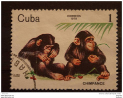 Cuba 1979 Chimpanzès Chimpansee Yv 2156 O - Used Stamps