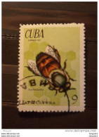 Cuba 4974 Abeille Bourdon Bij Dar Yv 1509 O - Used Stamps