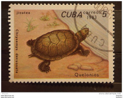 Cuba 1983 Tortue Schildpad Yv 2464 O - Usati