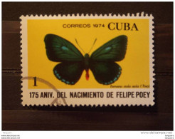 Cuba 1974 Vlinder Papillion Yv 1779 O - Gebraucht