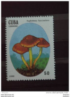 Cuba 1988 Champignons Vénéreux Giftige Paddestoelen Yv 2829 MNH** - Ungebraucht