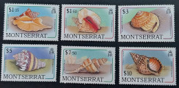 Coquillages Shells // Série Complète Neuve ** MNH ; Montserrat YT 676/291 (1988) Cote 46 € - Montserrat