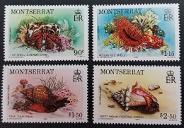 Coquillages Shells // Série Complète Neuve ** MNH ; Montserrat YT 554/557 (1984) Cote 17 € - Montserrat