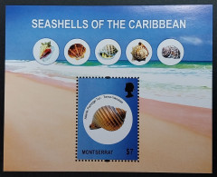 Coquillages Shells // Bloc Neuve ** MNH ; Montserrat BF 131 (2011) Cote 8 € - Montserrat