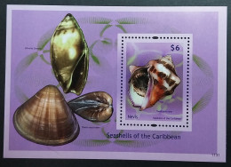 Coquillages Shells // Bloc Neuve ** MNH ; Nevis BF 307 (2011) Cote 7 € - St.Kitts And Nevis ( 1983-...)