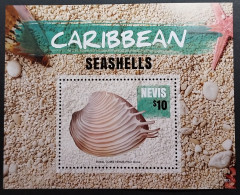 Coquillages Shells // Bloc Neuve ** MNH ; Nevis BF 370 (2016) - St.Kitts And Nevis ( 1983-...)