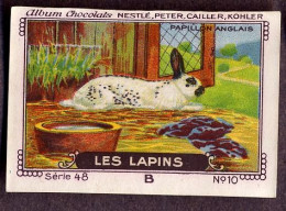 Nestlé - 48B - Les Lapins, Rabbits - 10 - Papillon Anglais, English Spot - Nestlé