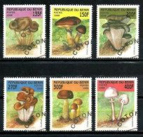 Bénin 1998 Champignons (5) Yvert N° 796 à 801 Oblitérés Used - Benin – Dahomey (1960-...)