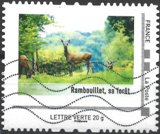 Montimbramoi Rambouillet : Sa Forêt - Lettre Verte 20g - Oblitéré Sur Support - Altri & Non Classificati