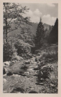 8175 - Waldgebirgsbach - Ca. 1955 - Landkarten