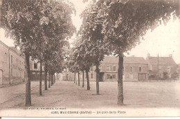 MALICORNE (72) Un Coin De La Place - Malicorne Sur Sarthe