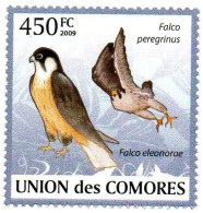 COMORES - 1v - MNH Falco Peregrimus - Eagles Falcons Hawks Vögel Falconery Birds Halcones Falken Falchi Faucons Aigles - Águilas & Aves De Presa
