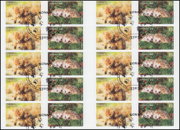 FB 36 Tierkinder: Fuchs Und Igel, Folienblatt Mit 10x 3053-3054, EV-O Bonn - 2011-2020